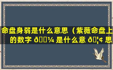 命盘身弱是什么意思（紫薇命盘上的数字 🐼 是什么意 🦢 思）